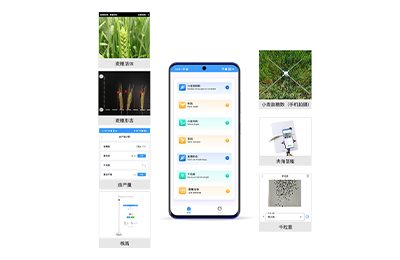 阜阳市小麦表型检测仪IN-XM04