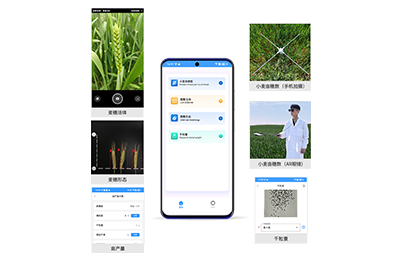 阜阳市小麦亩穗数分析仪IN-XM02